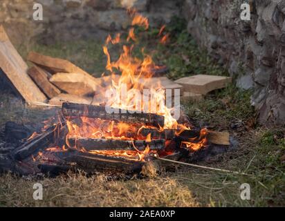 Campfire burning, ready to roast marshmallows. Stock Photo