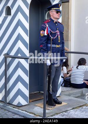 Prague Castle Guard in front of sentry box at Imperial Stables entrance to Prague Castle complex Prague Czech Republic. Prague Castle Guard in front of sentry box at Imperial Stables entrance to Prague Castle complex Prague Czech Republic.