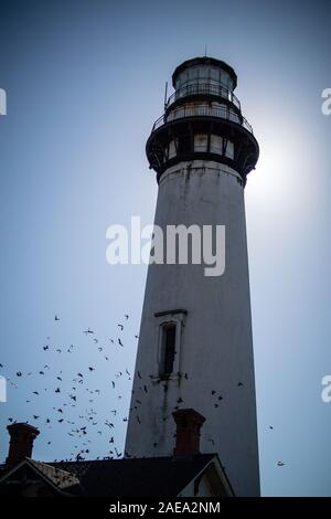 Tall lighthouse with flock of birds Stock Photo