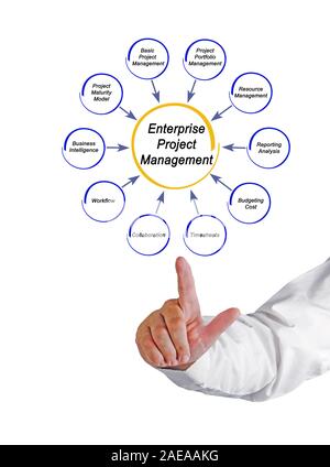 Enterprise Project Management Stock Photo