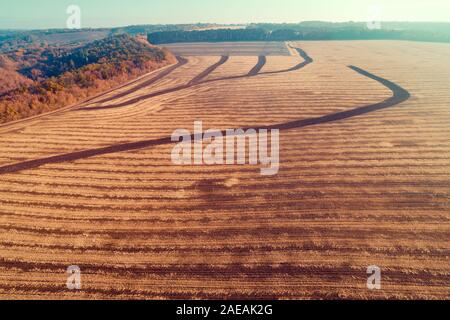 Rural autumn landscape. Field after harvest