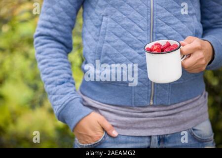 Closeup of woman's hands holding metal cup full of fresh organic raspberries. Girl with berries picked in the garden. Summer harvest and lifestyle con Stock Photo
