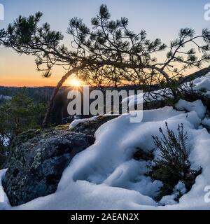 Scenic sunlight landscape with pine tree and melted snow at spring evening in Finland Stock Photo