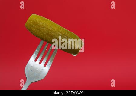 Fork with pickled cucumber. Green marinated dill pickle on red background with copyspace Stock Photo
