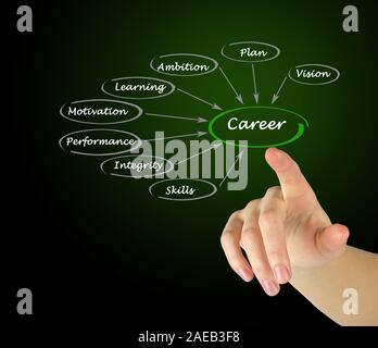 Diagram of Career development Stock Photo - Alamy