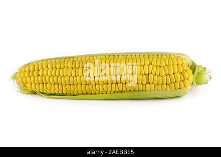 Corn cob isolated on a white background Stock Photo