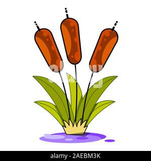 Reeds and cattail plant isolated on white background Stock Vector