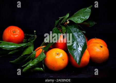 orange tangerines fruits and green leaves on a black wooden chopping board and black background. one blurry fruit isolated on the background Stock Photo