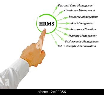 HRMS as Human Resource Management System acronym isolated, 3D rendering ...