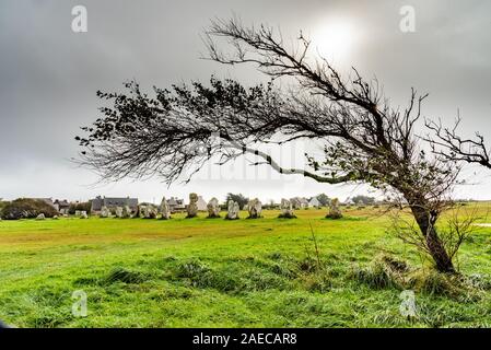 Standing stones in Brittany. A deformed tree lying by the force of the wind stands in front of an alignment of menhirs on a green meadow on a rainy da Stock Photo