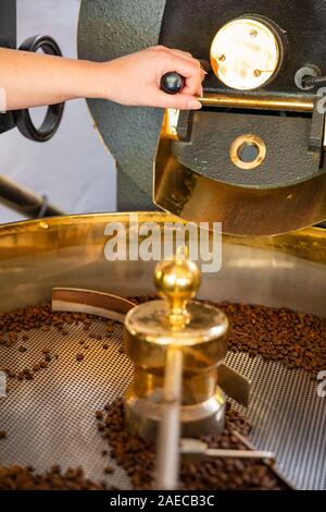 Female Handles Roaster in Organic Coffee production Stock Photo