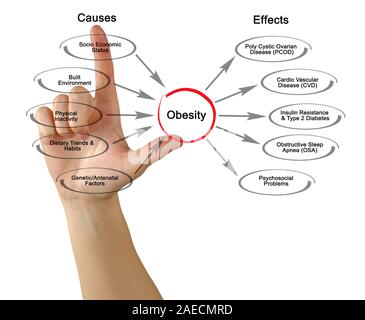 Obesity: causes and effects Stock Photo