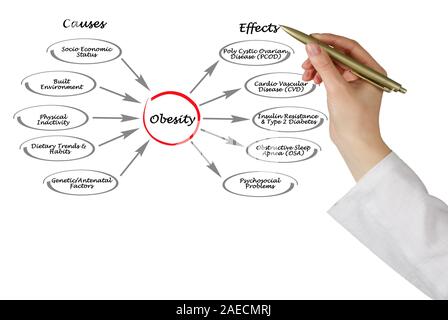 Obesity: causes and effects Stock Photo