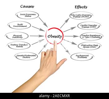 Obesity: causes and effects Stock Photo