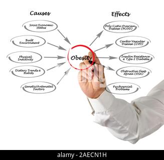 Obesity: causes and effects Stock Photo