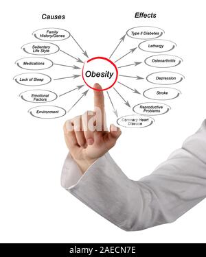 Obesity: Causes and Effects Stock Photo