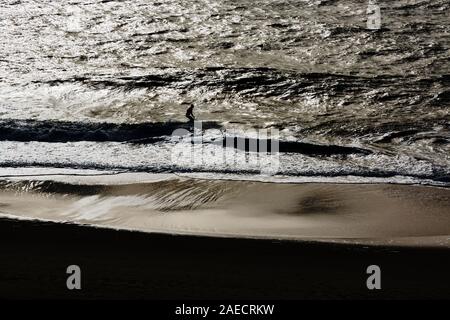 Meer, Wellen, Duenung, Surfer Stock Photo