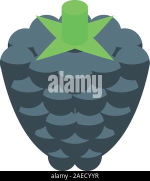 Blackberry fruit icon, isometric style Stock Vector