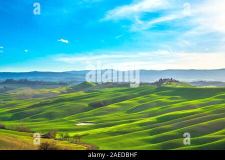 Tuscany panorama, rolling hills, trees, and green fields. Vescona, Siena Italy, Europe Stock Photo