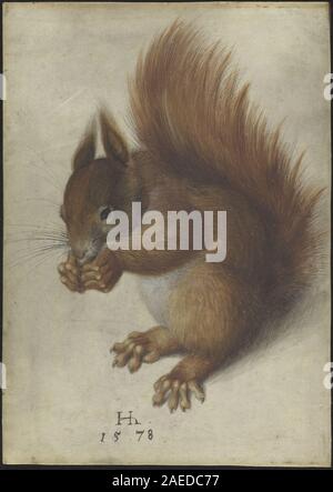A 1578 painting of a red squirrel by Hans Hoffmann. The artwork depicts the animal with detailed fur texture, naturalistic posture, and attention to anatomy, reflecting 16th-century German natural history illustration. Stock Photo