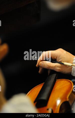 Master luthier violin maker varnishing a hand made violin stringed lute as final touches to finish his creation in his workshop in Cremona, Lombardy Stock Photo