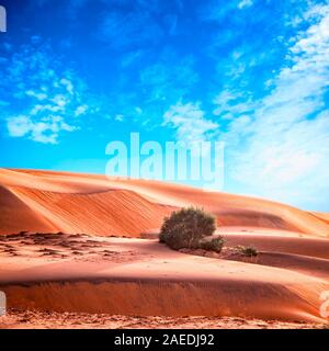 Moroccan desert landscape with blue sky. Dunes background. Stock Photo