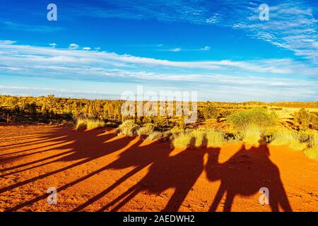 A silhouette of a camel sunset tour in the Australian outback. Uluru, Northern Territory, Australia Stock Photo