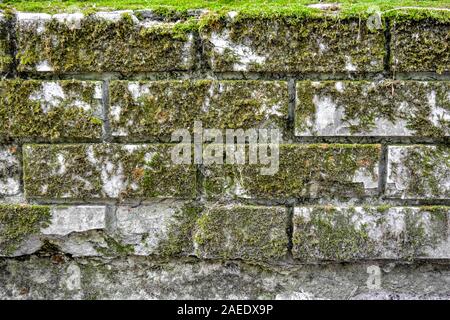 Ancient stone wall of ruin overgrown with grass and moss. Texture of old stone bricks wall Stock Photo