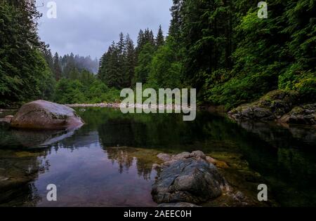 Pine trees and cloudy sky reflecting in the crystal clear water of a lake on a cloudy day in Lynn Canyon Park forest in Vancouver, Canada Stock Photo