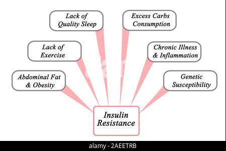 Causes of Insulin Resistance Stock Photo