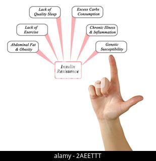 Causes of Insulin Resistance Stock Photo