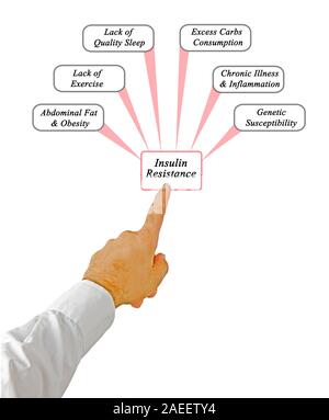 Causes of Insulin Resistance Stock Photo