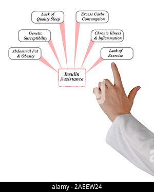 Causes of Insulin Resistance Stock Photo