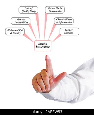 Causes of Insulin Resistance Stock Photo