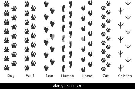 Paw print icon. Dog wolf bear human horse cat chicken prints Stock Vector