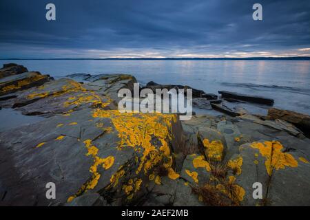 Colorful lichen on rocks on a December evening at Nes on the island Jeløy by the Oslofjord in Østfold, Norway. Stock Photo