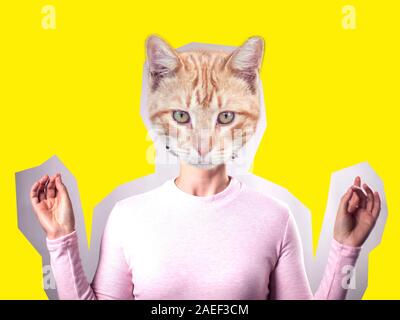 Modern art collage. Female model with cat face instead head on bright background. Stock Photo