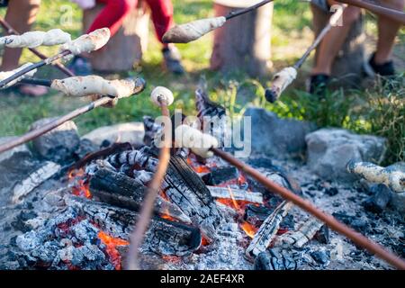 Children roasting twistbread on sticks over a camp fire during a picnic in the forest Stock Photo