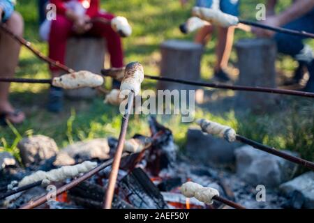 Children roasting twistbread on sticks over a camp fire during a picnic in the forest Stock Photo