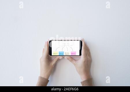 Flat layout of hands of businesswoman holding smartphone with flow chart Stock Photo