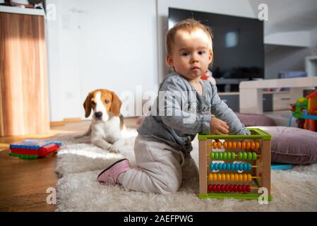 Portrait of one year old baby sitting on carpet in bright room with beagle dog looking at camera.