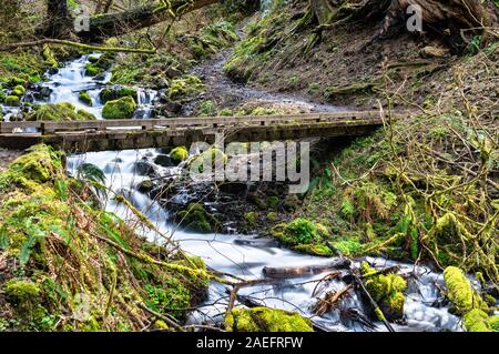 Wahkeena Creek in the Columbia River Gorge, USA Stock Photo