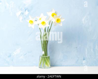 Bouquet of fresh flowers, daffodils with a glass vase in middle of a white table, opposite the blue textured concrete wall. Empty space for text. Stock Photo