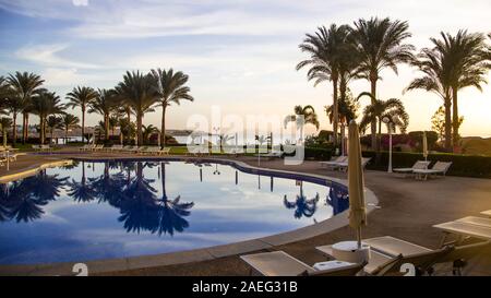 A place for relaxation near the pool with sun beds and palm trees. Egypt. Classic blue natural color. Stock Photo