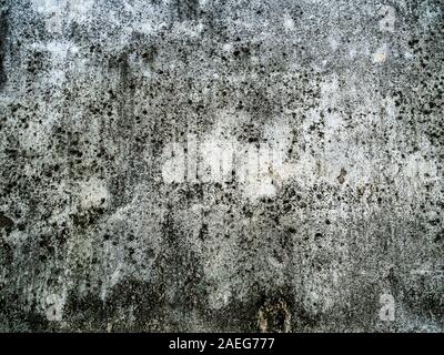 The old plaster wall art has water clabata and black fungus, Closeup old weathered concrete wall texture, With black stains on the wall Stock Photo