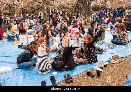 Teenagers having picnic called hanami in Yoyogi Park, Tokyo, Japan Stock Photo