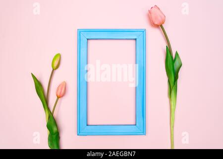 Flowers composition. tulip flowers with blue photo frame on pink background. Flat lay, top view, copy space Stock Photo