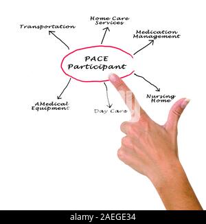 Diagram of PACE Stock Photo - Alamy