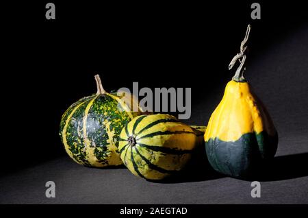 decorative gourd types on black background Stock Photo