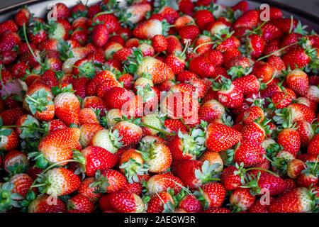 Freshly picked fresh strawberries background Stock Photo